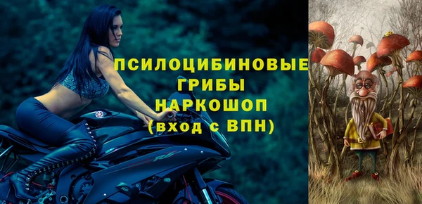 марки lsd Белокуриха