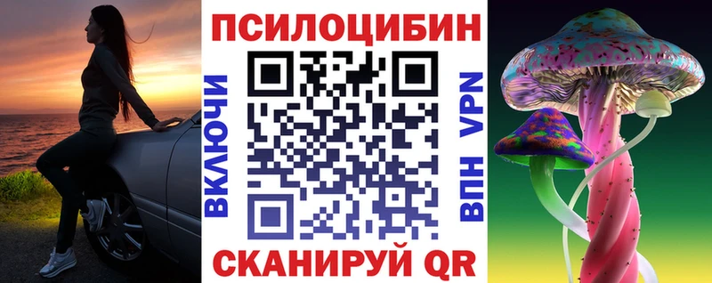 Галлюциногенные грибы Psilocybe  Верхний Тагил 